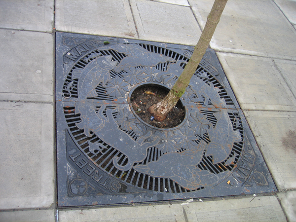 Unique tree grates were installed when pavement-heaving trees were replaced as part of sidewalk reconstruction on Main Street.