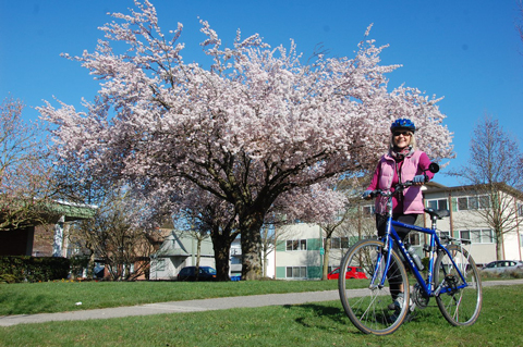 Take a Great Ride on Saturday and see the cherry blossoms in Vancouver!