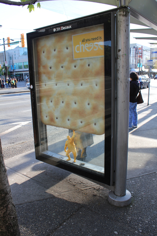 A cheese ad on a Commercial-Broadway bus shelter. 
