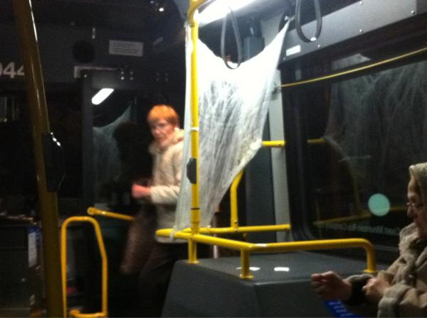 cobwebs on the bus