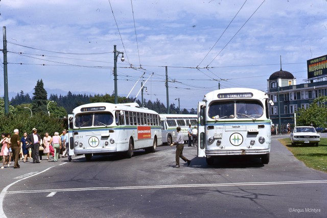Buses at Stanley Park