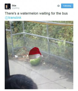 Watermelon waiting for bus
