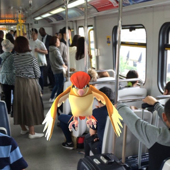 Pidgeotto caught by @christ1990 on Canada Line