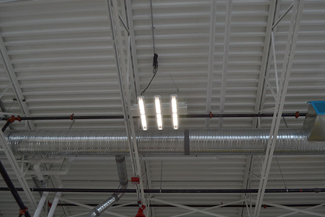 LED lighting to conserve energy