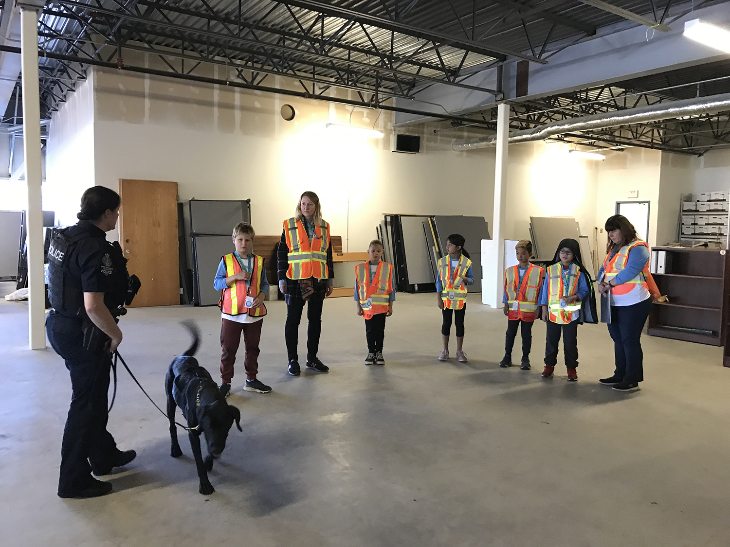 Some K9 lessons