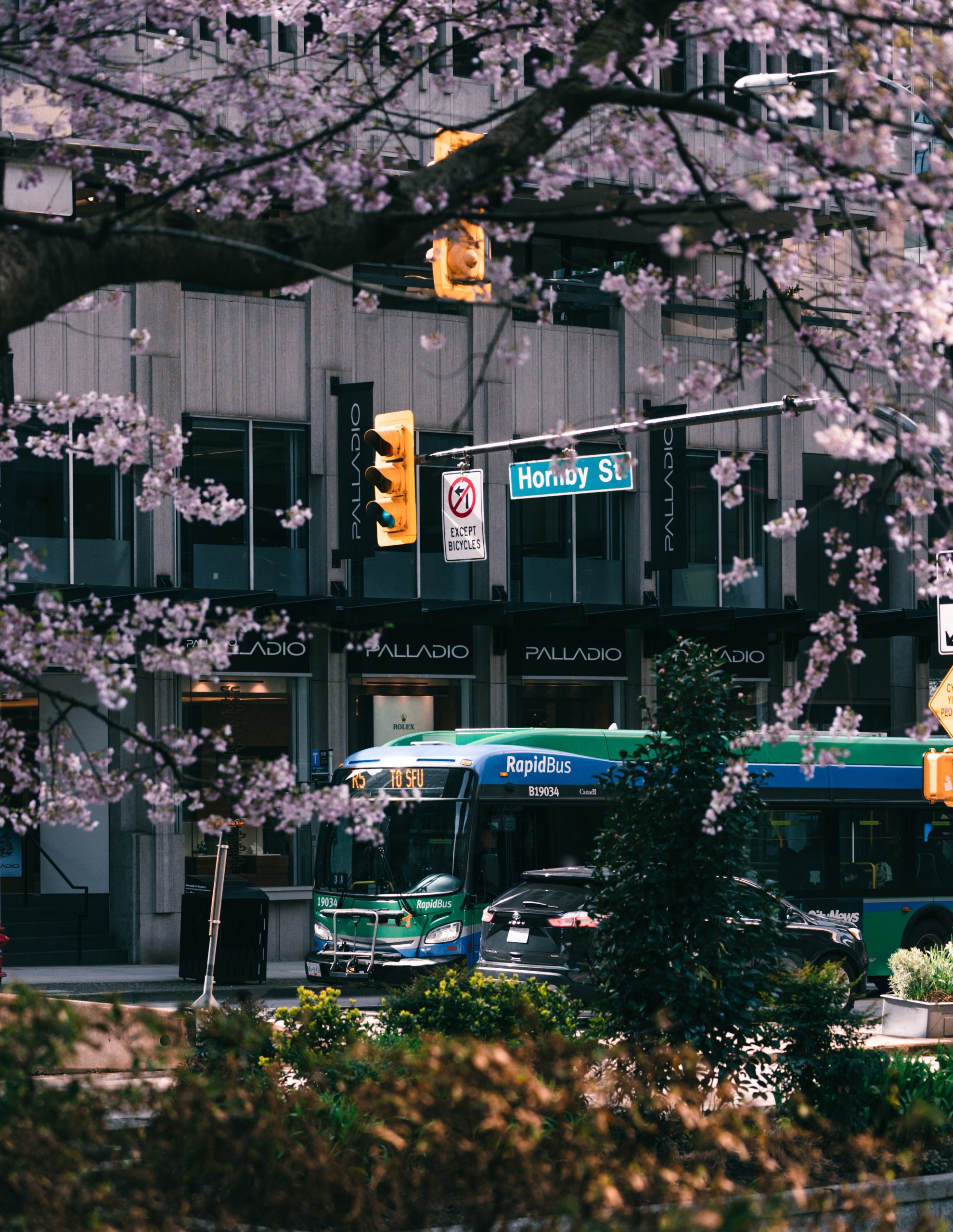 RapidBus driving through Downtown Vancouver intersection with cherry blossoms in the foreground.