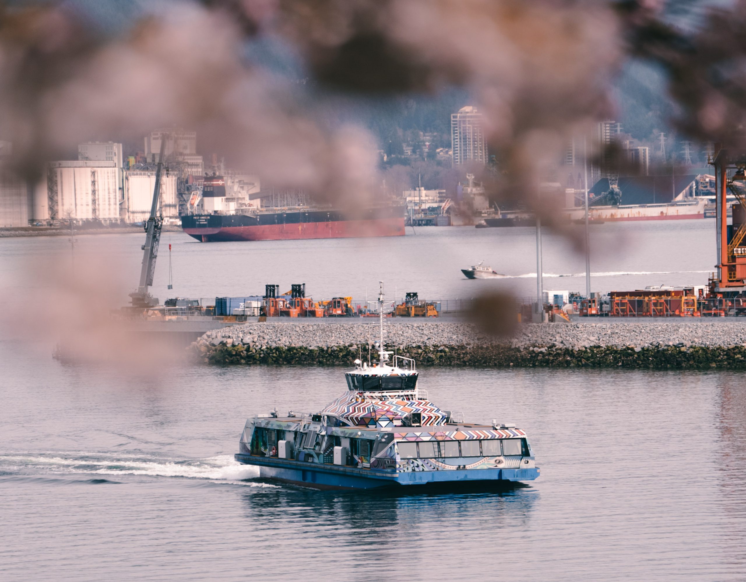 Photo of blurred cherry blossoms in the foreground overlooking the Burrard Chinook SeaBus in the background