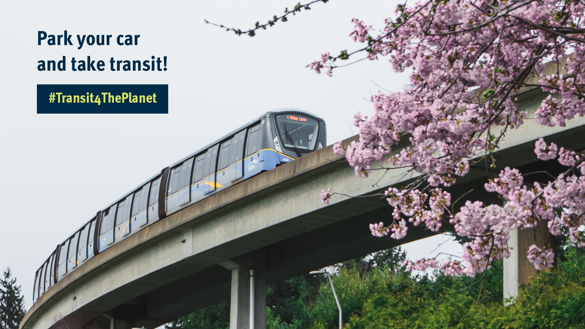 Wide shot of SkyTrain with Cherry Blossoms in the foreground. Text on image: Park your car and take transit