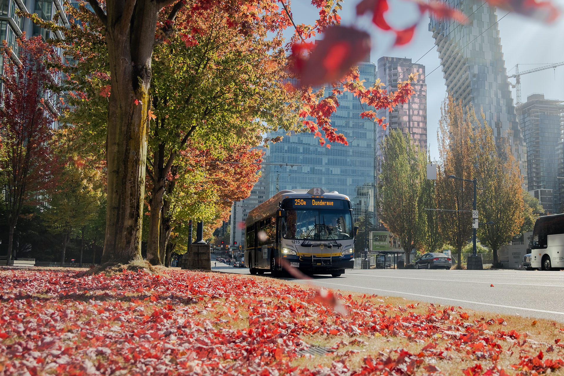 PHOTOS: Tour these 6 transit-friendly fall pictures spots in Vancouver