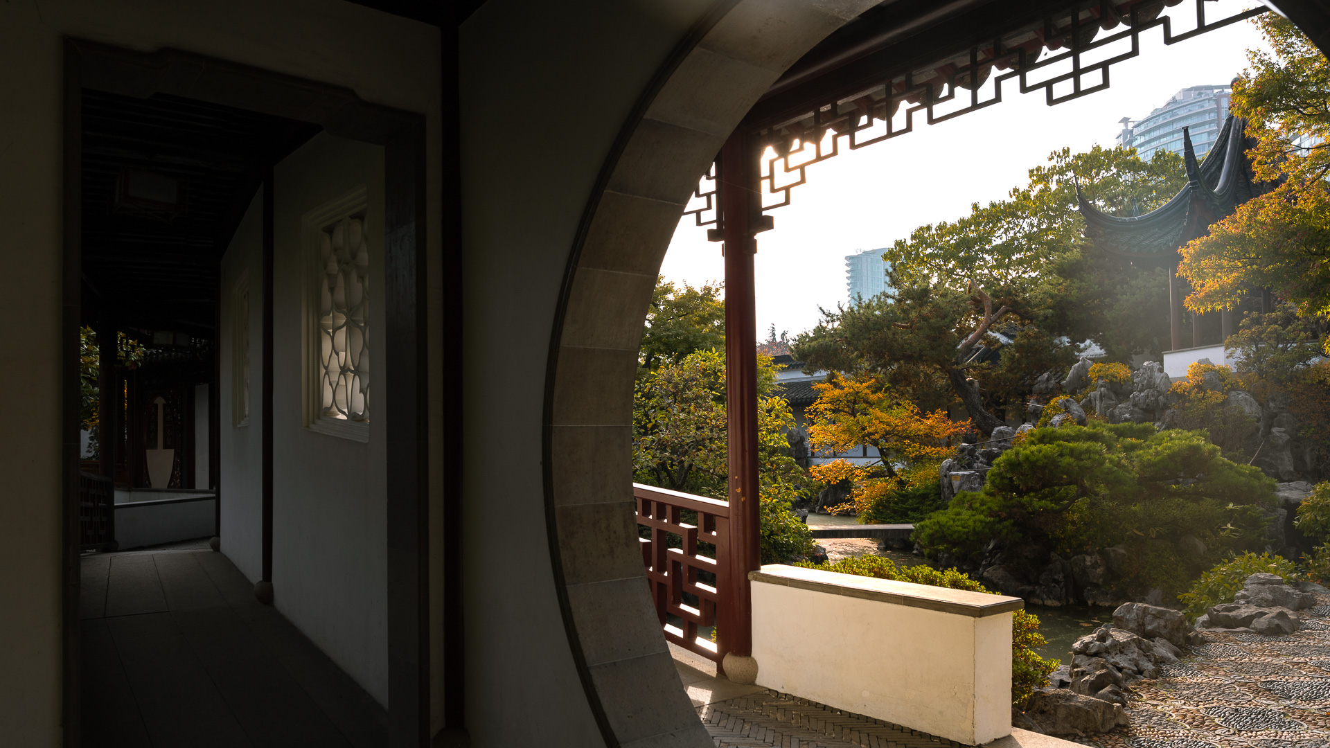 Fall 20221019_016_Dr.Sun Yat-Sen Classical Chinese Garden