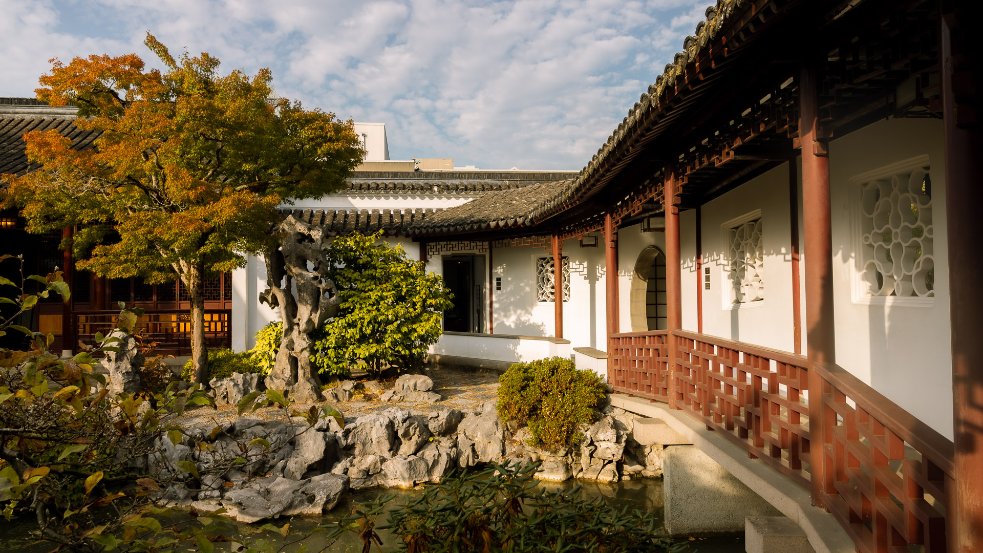 Fall 20221019_020_Dr.Sun Yat-Sen Classical Chinese Garden
