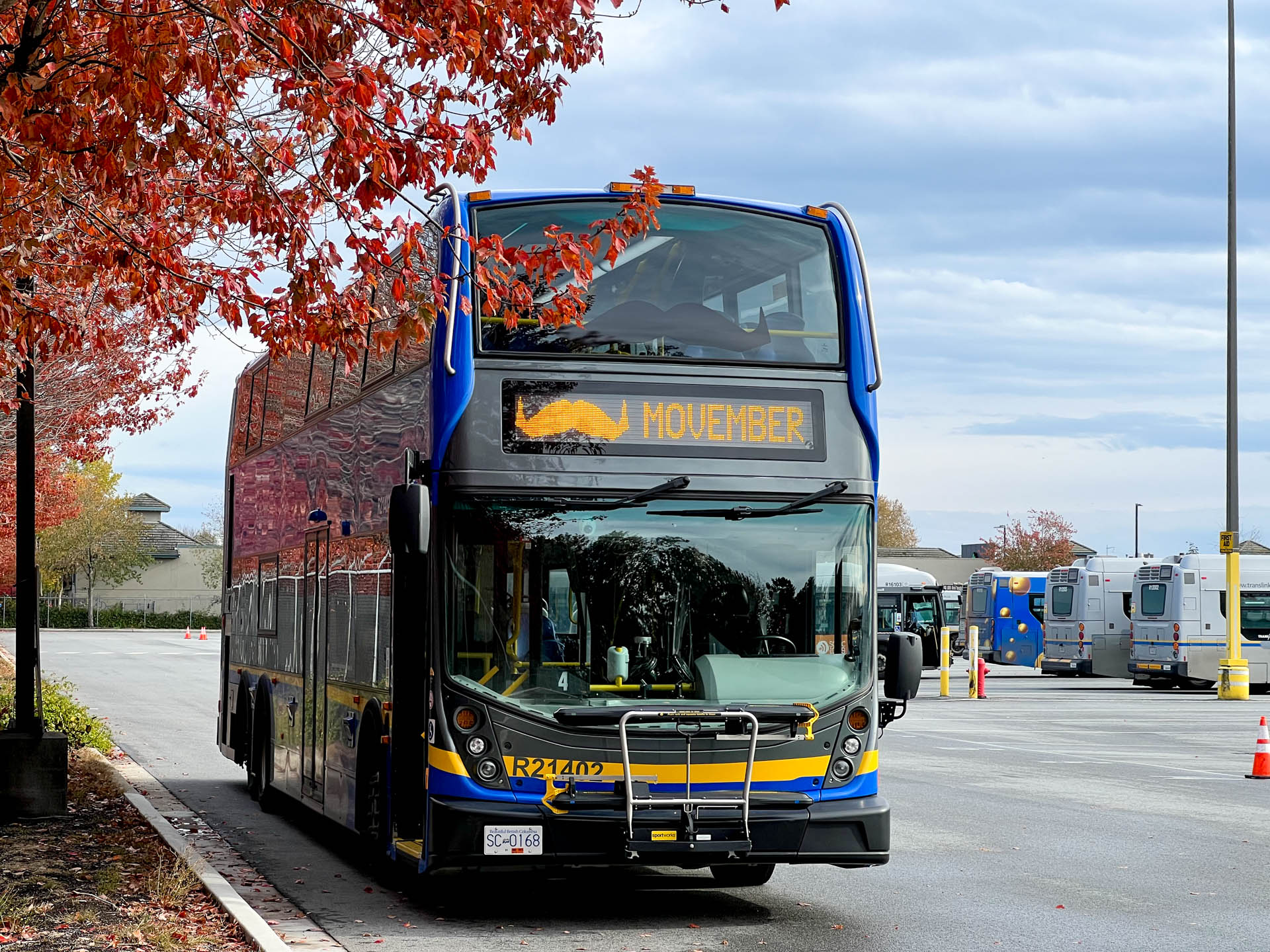 Photo of the Movember bus-stash double-decker bus