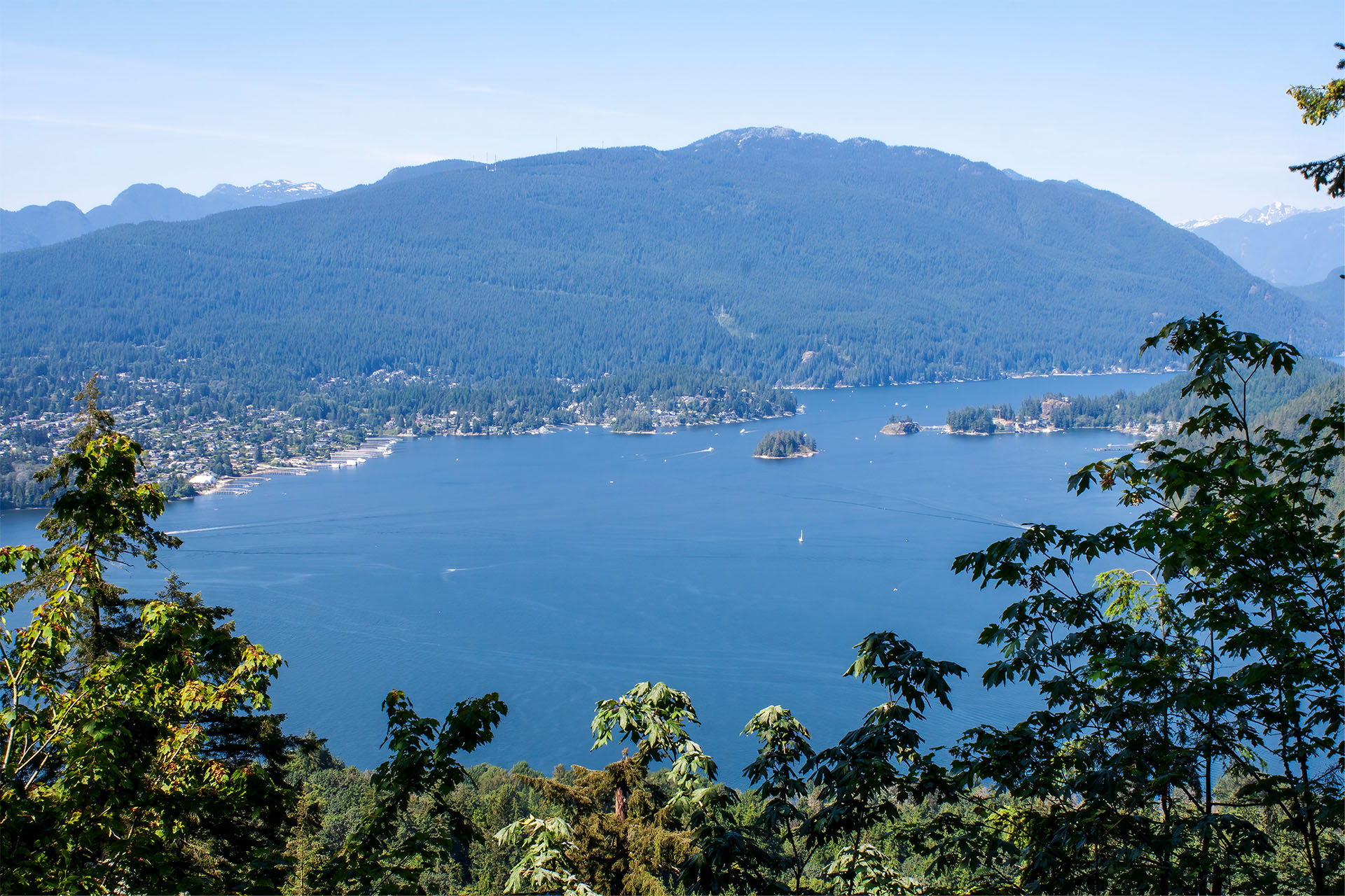 A view from the Burnaby Mountain Convervation Area overlooking water and trees