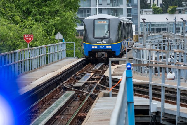 Lush Longer Waits For Ccl Trains Due To Tunnel Works Between Three Stations From Jan 17 To Apr 19, 2026 Wallpaper Art Lush Longer Waits For Ccl Trains Due To Tunnel Works Between Three Stations From Jan 17 To Apr 19, 2026 Wallpaper Art
