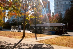 Bus along Denman Street in autumn