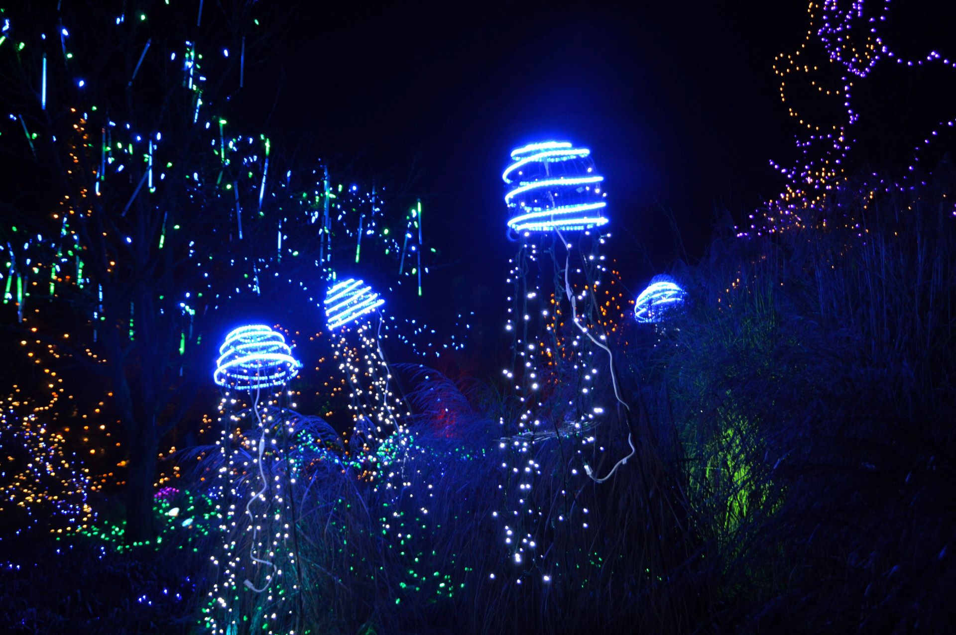 Best hotels in vancouver for christmas holidays 66 Image