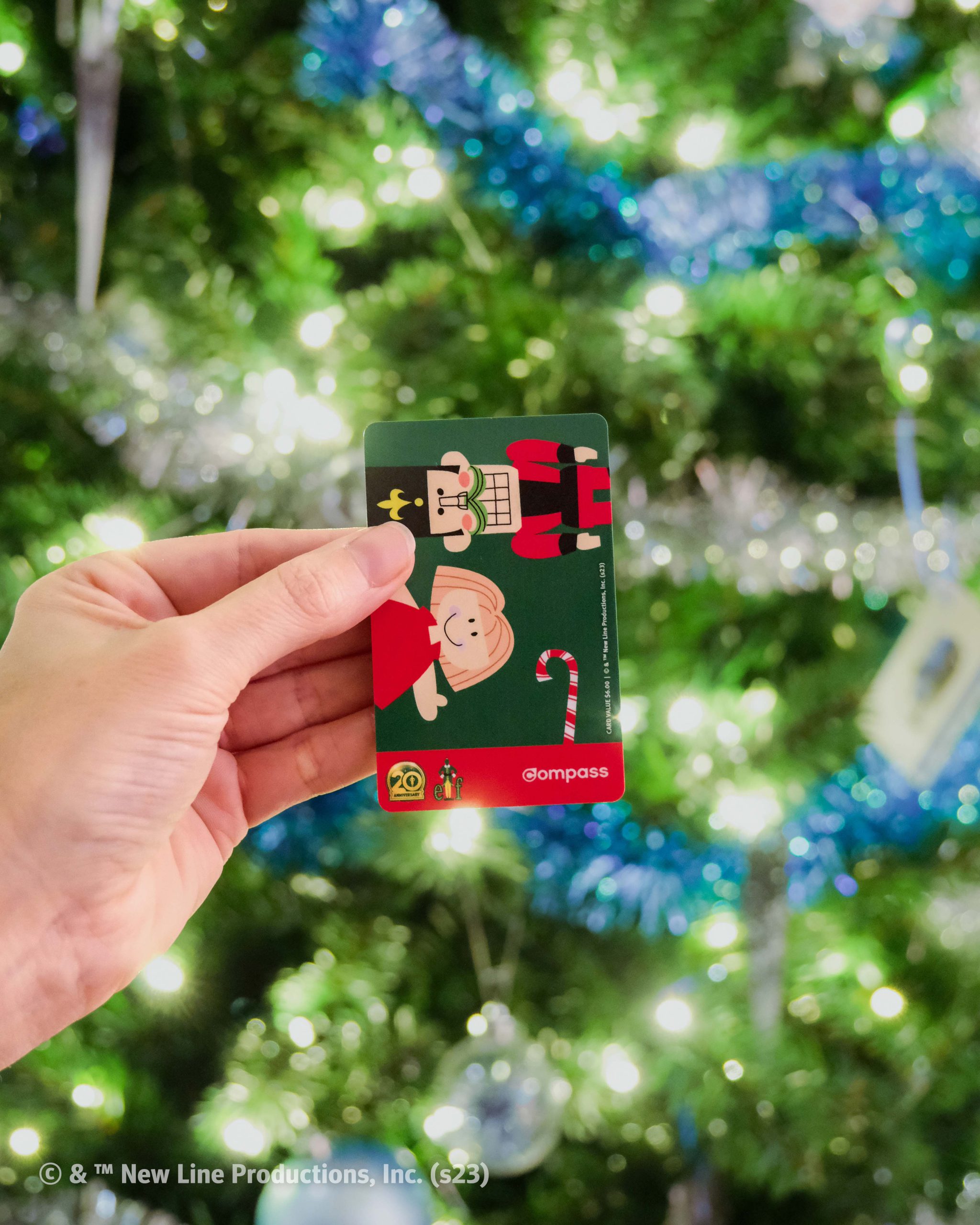 Photo of one Limited-edition Elf Compass Card being held up in front of a tree