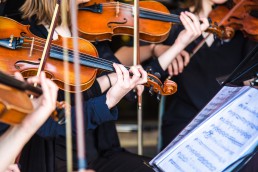 Violins in orchestra