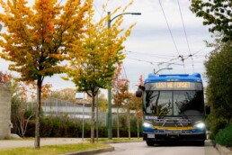 a trolley bus drives down a fall coloured tree lined street with lest we forget displayed on the front of the bus