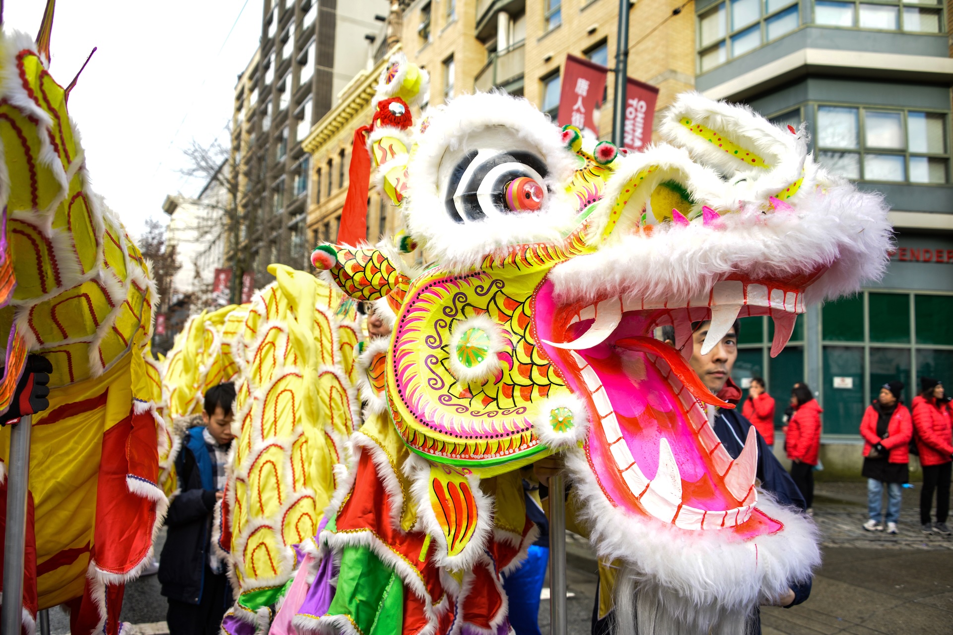 this chinese new year animal