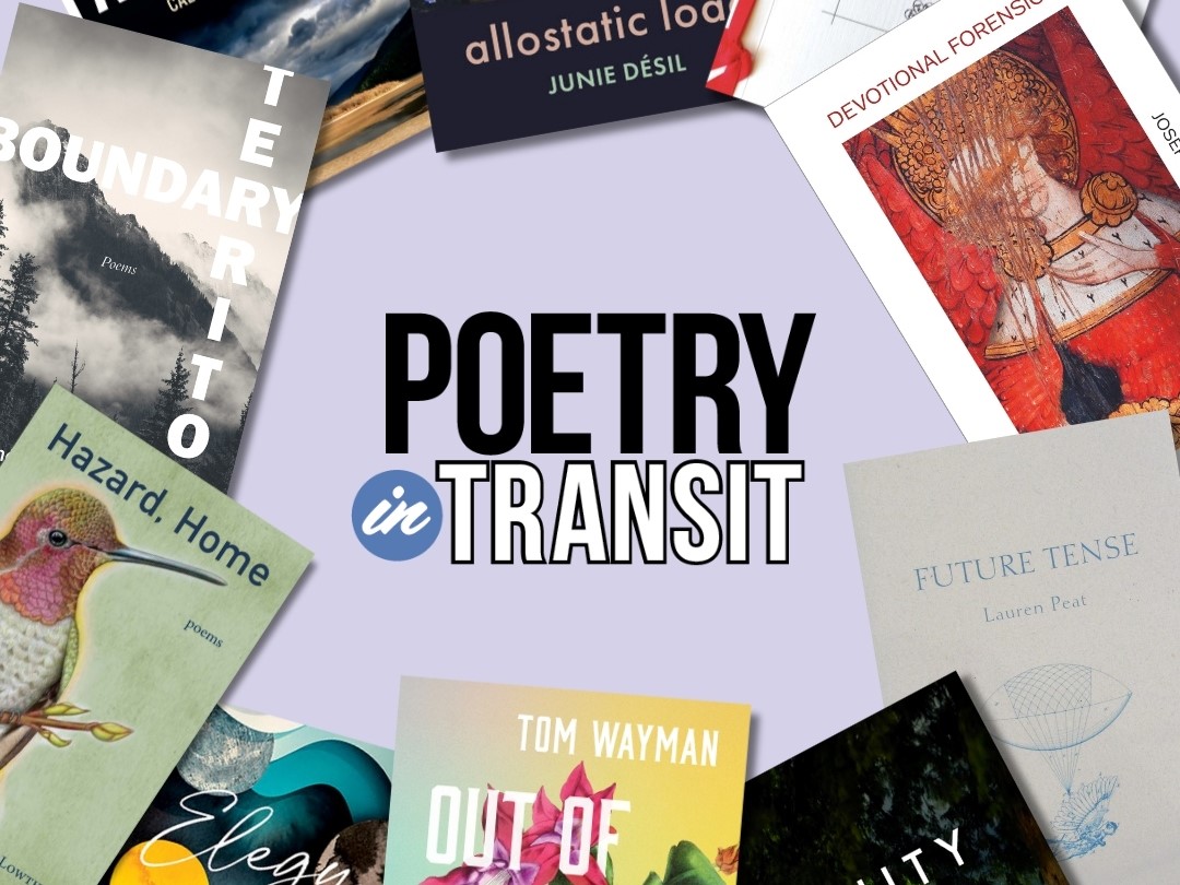 Poetry in Transit